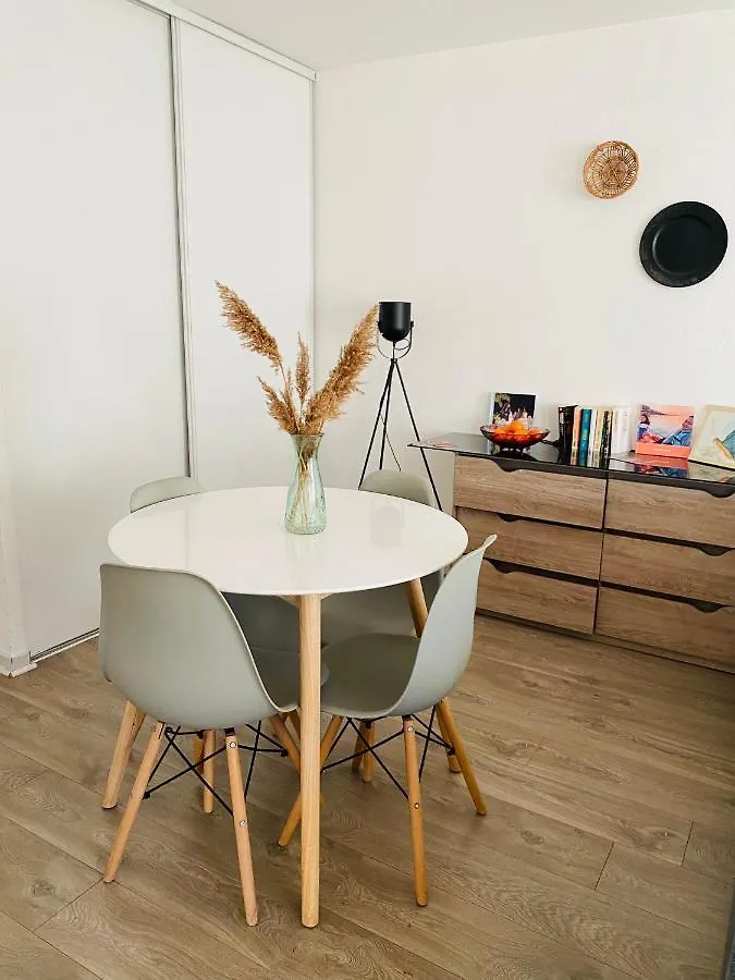 Apartment Mon Havre De Paix Toulousain Apt Idealement Situe Toulouse